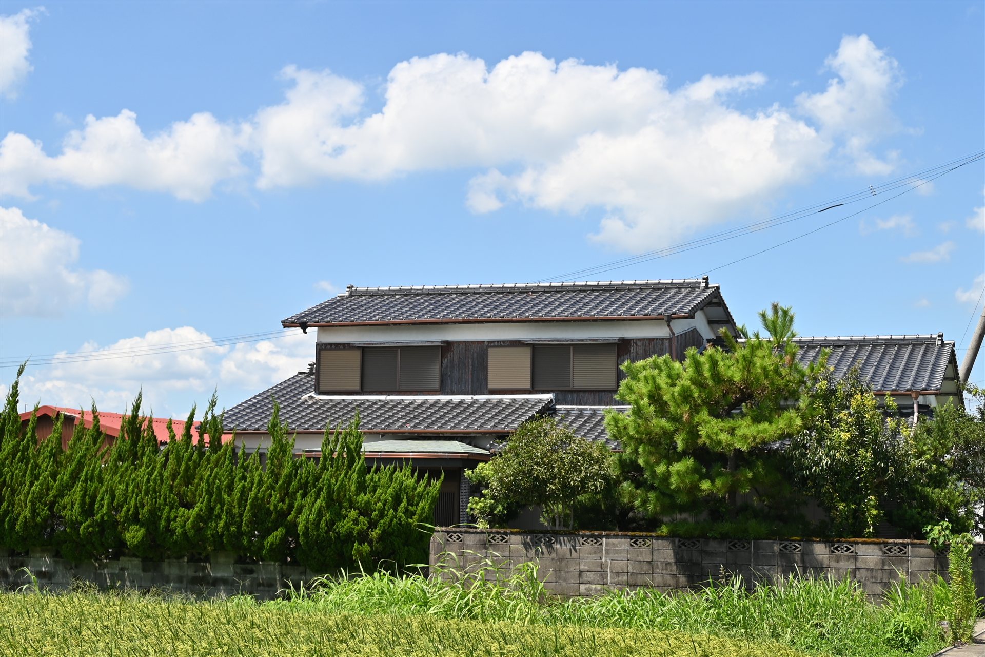 生け垣の向こうに建つ瓦屋根の日本家屋